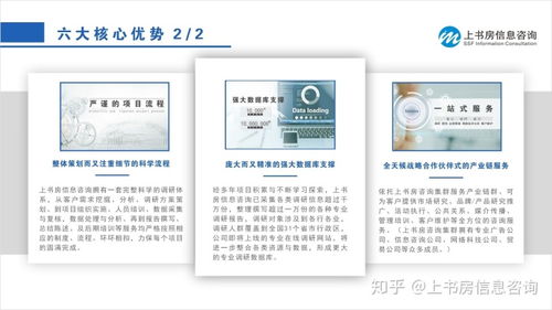 SYB需求分析問卷 消費者需求研究與數(shù)據(jù)處理服務(wù)